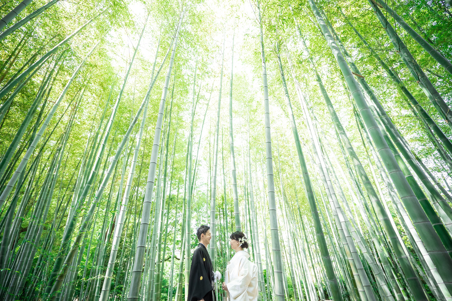 名古屋 竹林での和装ロケーション前撮り