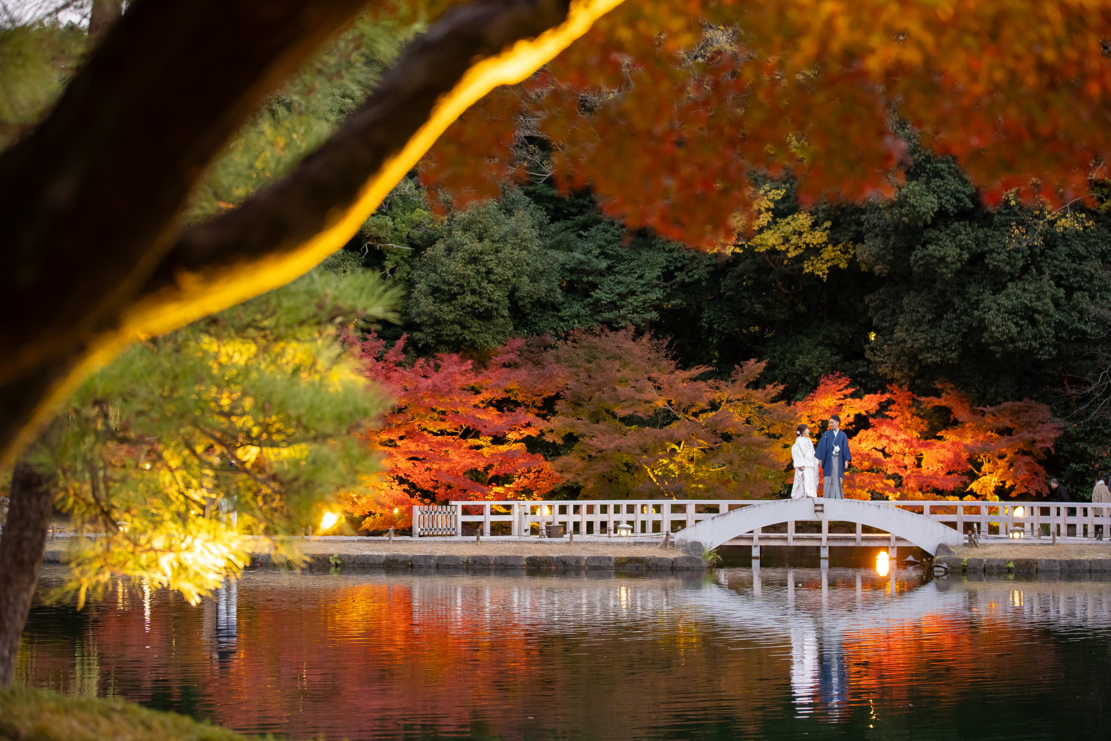 徳川園での和装ロケーションフォト｜ナイト紅葉