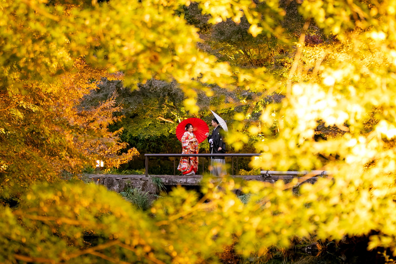 和装前撮り徳川園ライトアップ