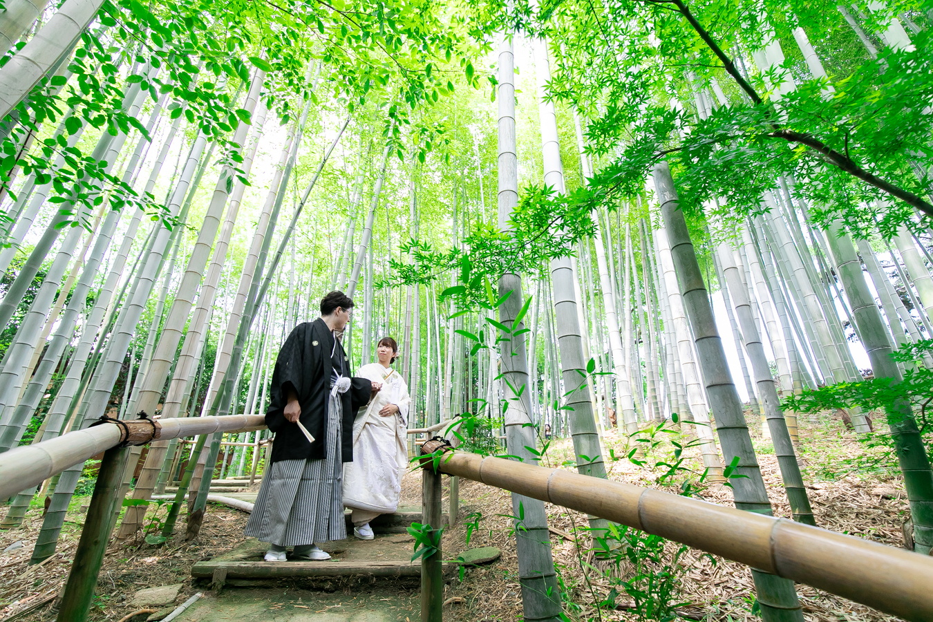 白鳥庭園和装前撮りロケーションフォト｜竹林