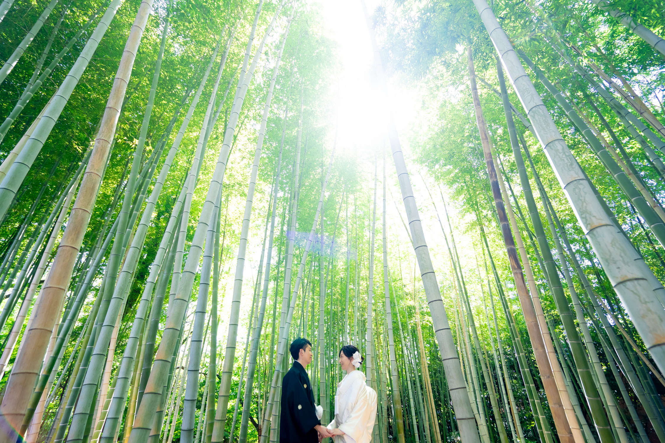 白鳥庭園＆栄での和洋ロケーション 名古屋サンライズデジタル前撮り